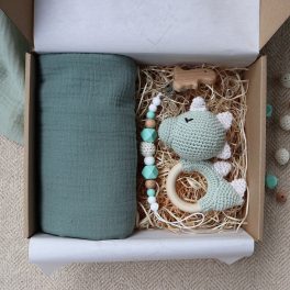Mint Green Dino Box - Baba ajándékdoboz 
